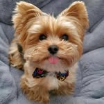 Kayla Mae Warner - @kayla.warner.549668 - Instagram