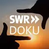 maewarner19622 - @maewarner19622 - TikTok