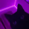 mae - @maeewashington - TikTok