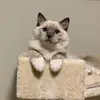 Mae Watson - @maewaz - TikTok