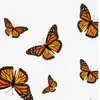 user3428116507595 - @mae_watson146 - TikTok
