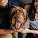 Darla Mae Watts - @darla_the_griff - Instagram