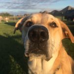 Marlee Mae Weaver - @marlee.weaver - Instagram