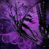 є๓๓a ❀♡ও - @mae._.weber - TikTok