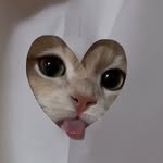 mae.yuzry - @mae.weer - Instagram