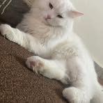 Weird Mae - Facebook