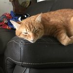 Mae Weisser - @maeweisser - Instagram