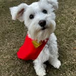 Winnie Mae - @winnie_mae_welch - Instagram