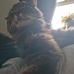 Mae Wesson - Facebook
