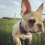 Posey Mae - @poseymae_and__wessonfudd - Instagram