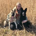 Ruby Mae, Wesson, & Trooper🐾 - @gsd_rubymae - Instagram