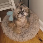 Maggie Westbrook "Mae Mae" - @maggie_mae_westbrook - Instagram