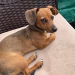 Lady Lucille Mae Wheeler - @ladylucymae - Instagram