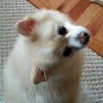 Ms. Daisy Mae Wheeler - @ms.daisymae - Instagram