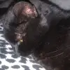 Marie Wilkinson - @marie.wilkinson13 - TikTok