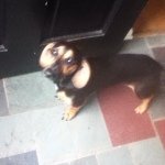 Winnie Mae Wills - @winniemae56 - Instagram