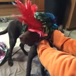 Maggie Mae Withers - @maggiewithers - Instagram
