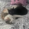 Mae_Wolf - @madi__maee - TikTok