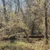 mae.woods - @mae.woods - TikTok