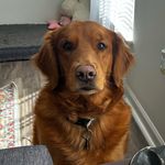 @daisy.mae.workman - Instagram