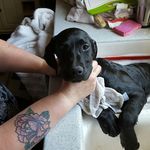 Daisy Mae - @daisy_mae_workman - Instagram