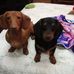 Mae Yost - Facebook