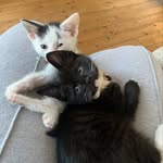 Maeve Flaherty Foley, Michael Finagan Foley - @maeve_and_michael - Instagram