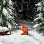@maeve.the.fox - Instagram