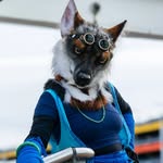 Maeve - @maevesikafox - Instagram