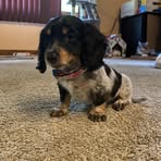 Maeve Ray - Facebook