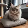 Maeve Rocha - @maeve.rocha - TikTok