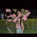Mafe Celis - Facebook