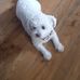 Mag Smith - Facebook