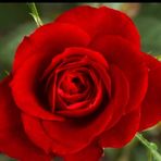Magali Ramirez - Facebook