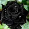 Magali Ramirez - @magali.ramirez964 - TikTok