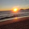 alex - @magaliserrano09 - TikTok