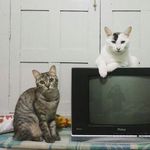 Penélope Magali & Thomas Dino - @penelopedino - Instagram