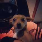 Magaly Blanco - @magaly_blanco_t - Instagram