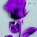 Magaly Cordero - Facebook