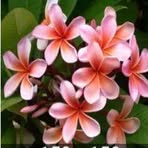 Magaly Muñoz - Facebook
