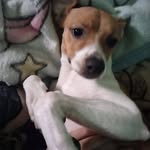 Magaly Magdalena Osorio Navarrete - @ma.galy3154 - Instagram