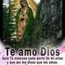 Magda Carrera - Facebook