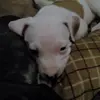 Magda Carrera - @magdacarrera7 - TikTok