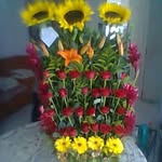 Magda Coronado - @magda.coronado.9279 - Instagram