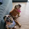 Lebron & Magda - @lebronemagda - TikTok