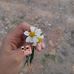 Mar Magdaleno - Facebook