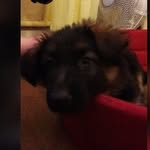 Magda Nowak - @magdanowak684 - Instagram