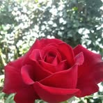 Magda Ruiz - Facebook