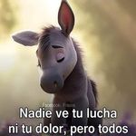 Magda Ruiz - @magdaruiz022 - Instagram