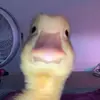 magda Suarez 🦋 - @magda.suarez1 - TikTok